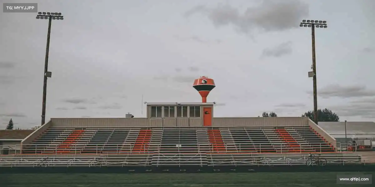 <strong>9.1免费版cad网站入口安装入口</strong>链接创作者匠心与观众期待，让好影视照亮每个观影时刻👀